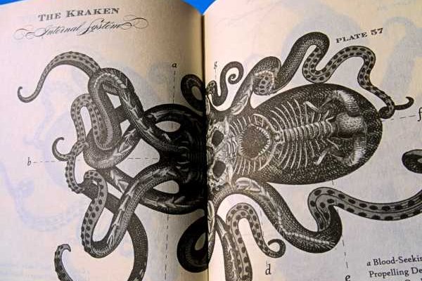 Kraken market ссылка тор