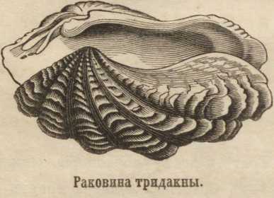 Kraken актуальный сайт
